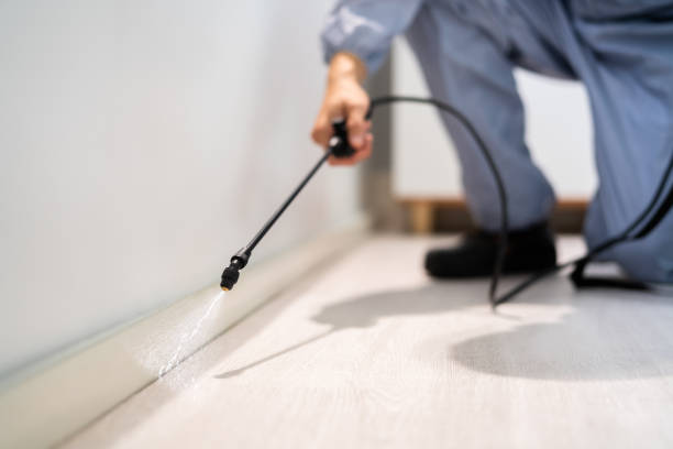 Licensed Fumigation Services service in Independence, MO - Nex Pest Control