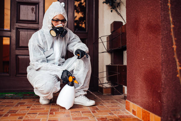 Reliable Fumigation Services contractor in Independence, MO by Nex Pest Control